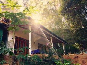 Secret Nest Homestay